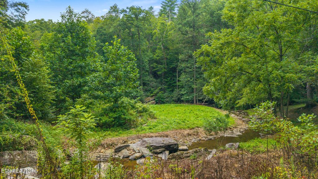 Photo of 00 Cane Creek Mtn Rd, Tellico Plains, TN 37385 (MLS # 1311280)