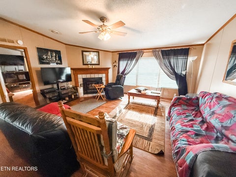 Tiny photo for 239 Cedar Lane, Spring City, TN 37381 (MLS # 1360290)
