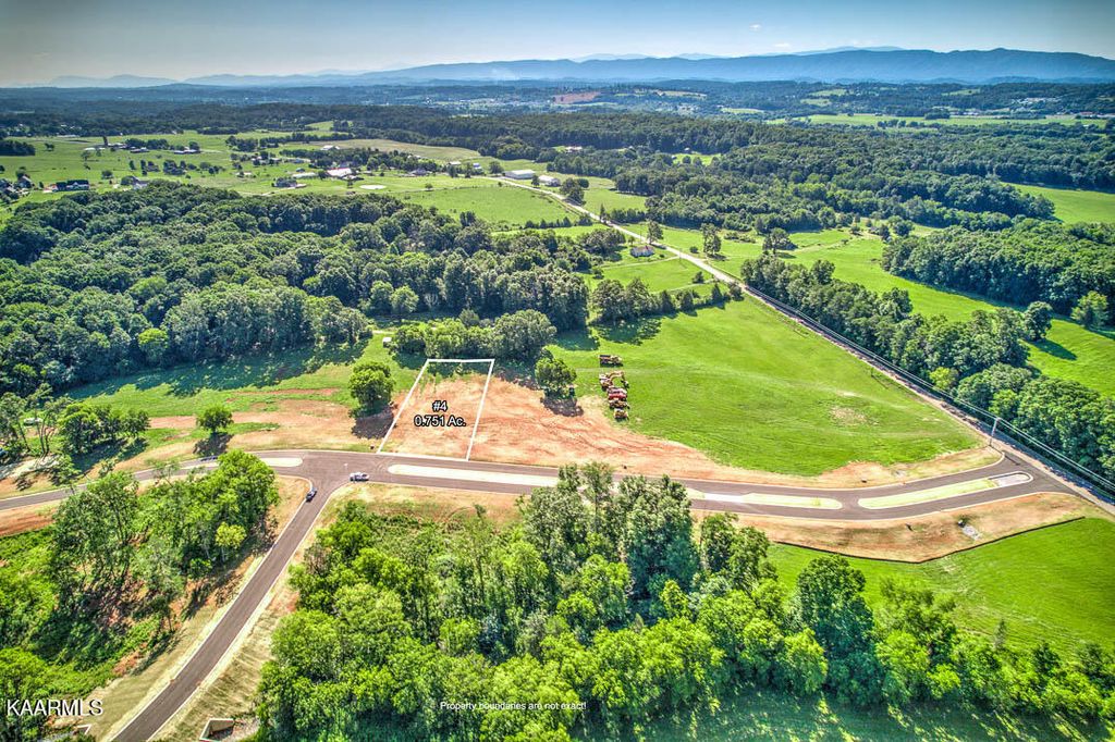 Photo of 4 Morganton Rd, Greenback, TN 37742 (MLS # 1233391)