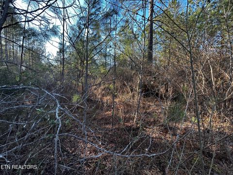 Tiny photo for 27 Charles Rd, Decatur, TN 37322 (MLS # 1333653)