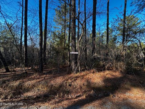 Tiny photo for 27 Charles Rd, Decatur, TN 37322 (MLS # 1333653)