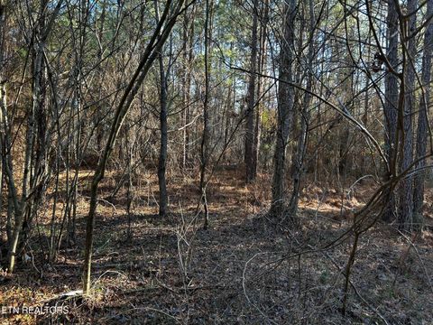 Tiny photo for 27 Charles Rd, Decatur, TN 37322 (MLS # 1333653)