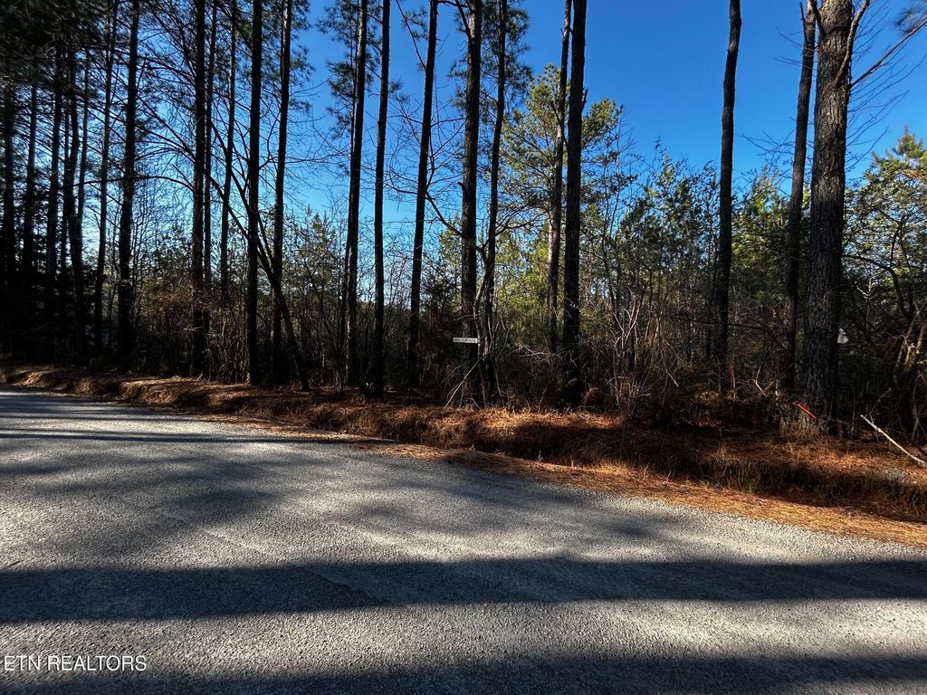 Photo of 27 Charles Rd, Decatur, TN 37322 (MLS # 1333653)