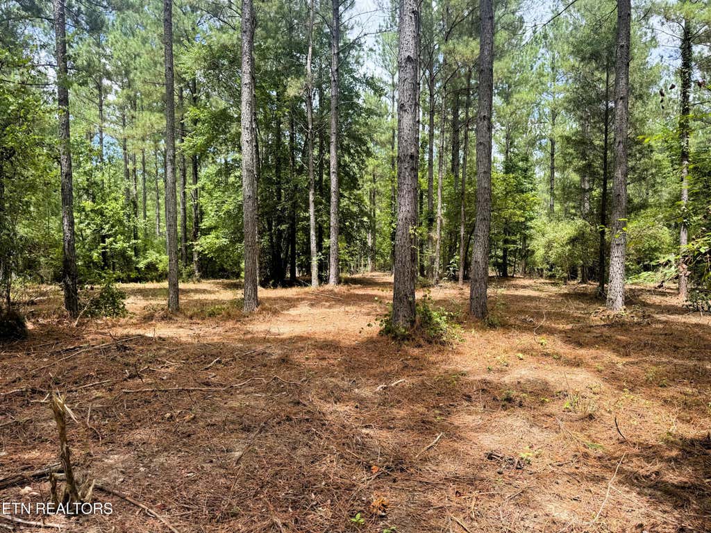 Photo of 27 Charles Rd, Decatur, TN 37322 (MLS # 1333653)