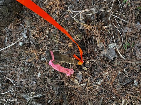 Tiny photo for 27 Charles Rd, Decatur, TN 37322 (MLS # 1333653)