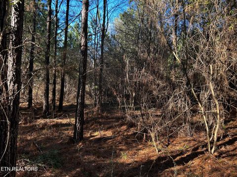 Tiny photo for 27 Charles Rd, Decatur, TN 37322 (MLS # 1333653)