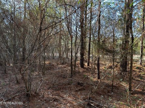 Tiny photo for 27 Charles Rd, Decatur, TN 37322 (MLS # 1333653)