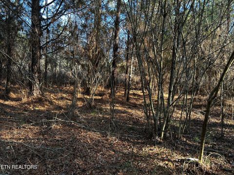 Tiny photo for 27 Charles Rd, Decatur, TN 37322 (MLS # 1333653)