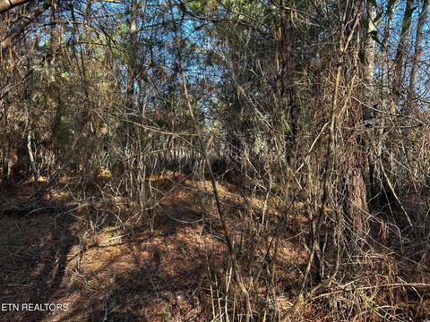 Tiny photo for 27 Charles Rd, Decatur, TN 37322 (MLS # 1333653)