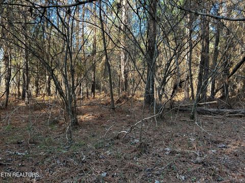 Tiny photo for 27 Charles Rd, Decatur, TN 37322 (MLS # 1333653)