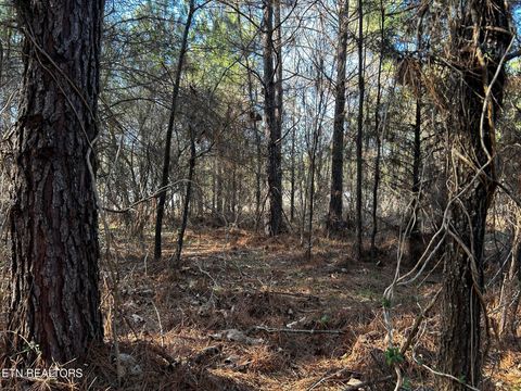 Tiny photo for 27 Charles Rd, Decatur, TN 37322 (MLS # 1333653)