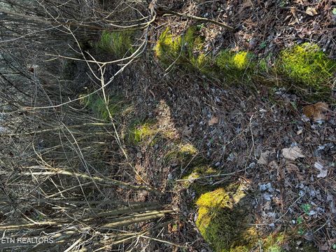 Tiny photo for 27 Charles Rd, Decatur, TN 37322 (MLS # 1333653)