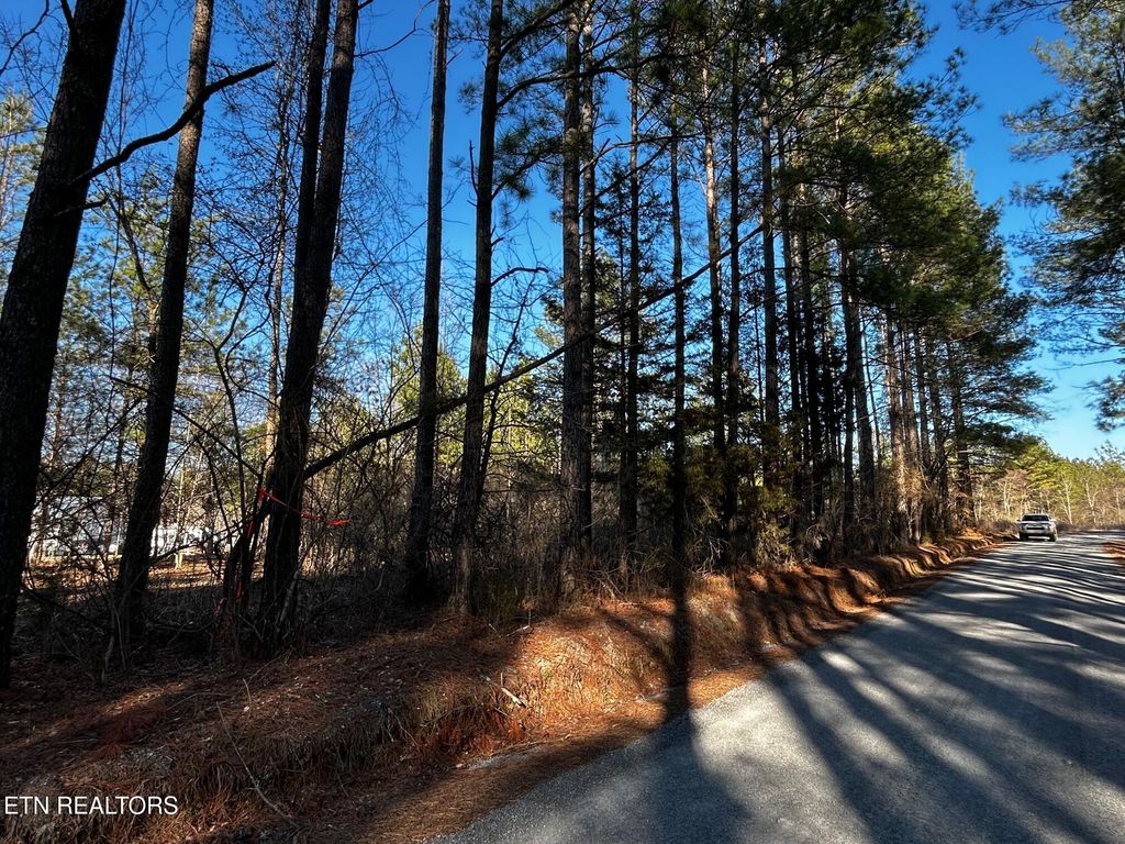 Photo of 27 Charles Rd, Decatur, TN 37322 (MLS # 1333653)