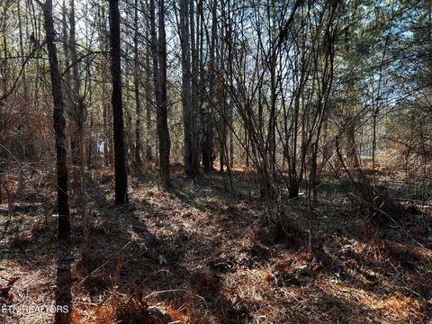 Tiny photo for 27 Charles Rd, Decatur, TN 37322 (MLS # 1333653)