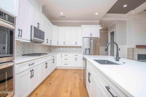 Tiny photo for 165 Grandville Court, Vonore, TN 37885 (MLS # 1316300)