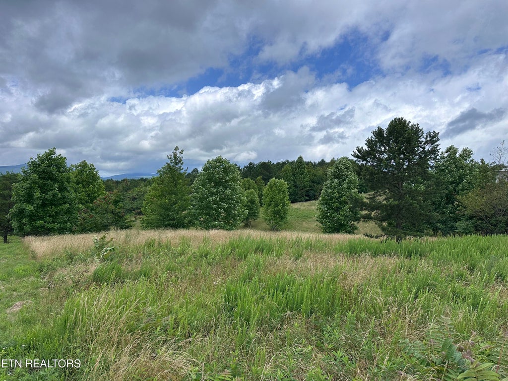 Photo of Tower Rd, Grandview, TN 37337 (MLS # 1305247)