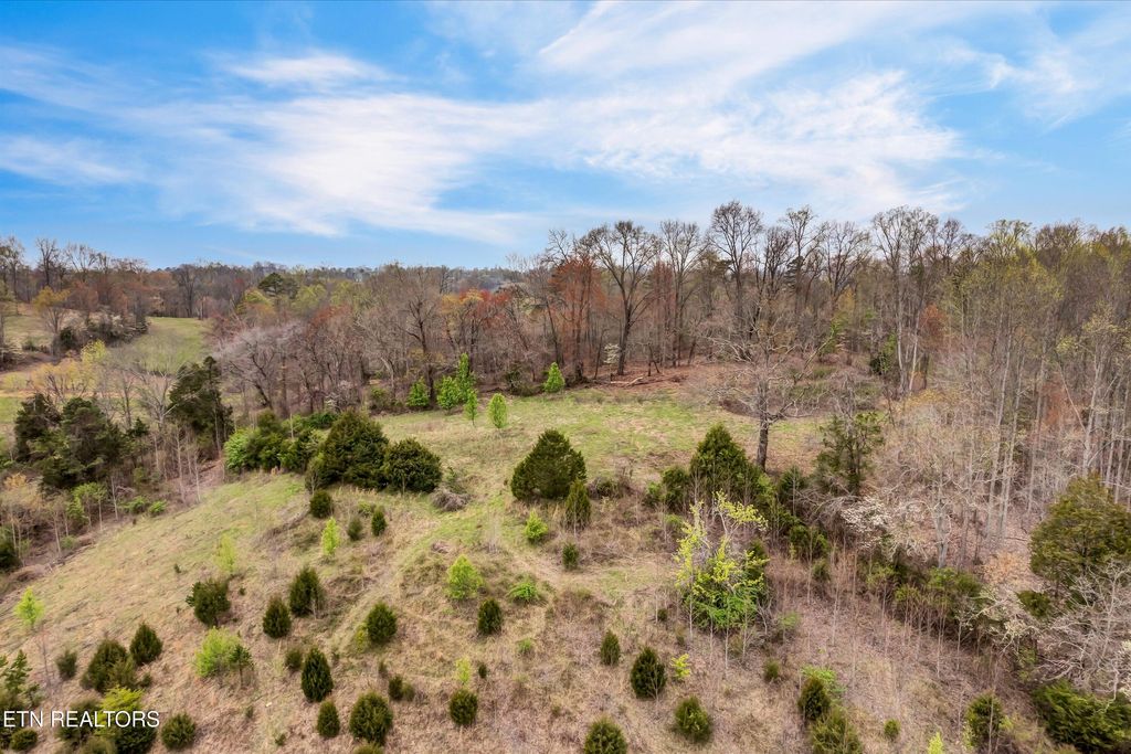 Photo of 290 Maddox Lane, New Tazewell, TN 37825 (MLS # 1335705)
