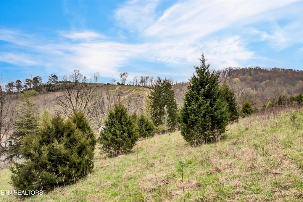 Photo of 290 Maddox Lane, New Tazewell, TN 37825 (MLS # 1335705)