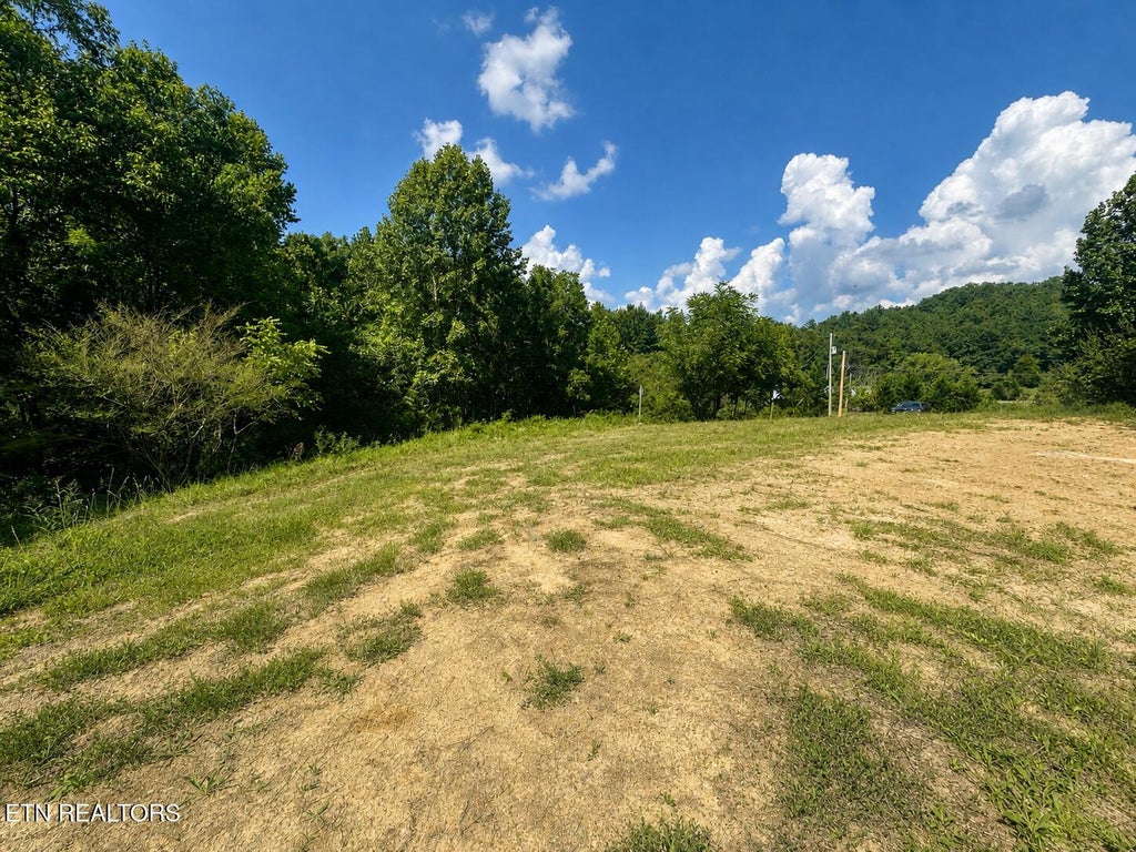 Photo of 1085 Catoosa Rd, Wartburg, TN 37887 (MLS # 1354540)