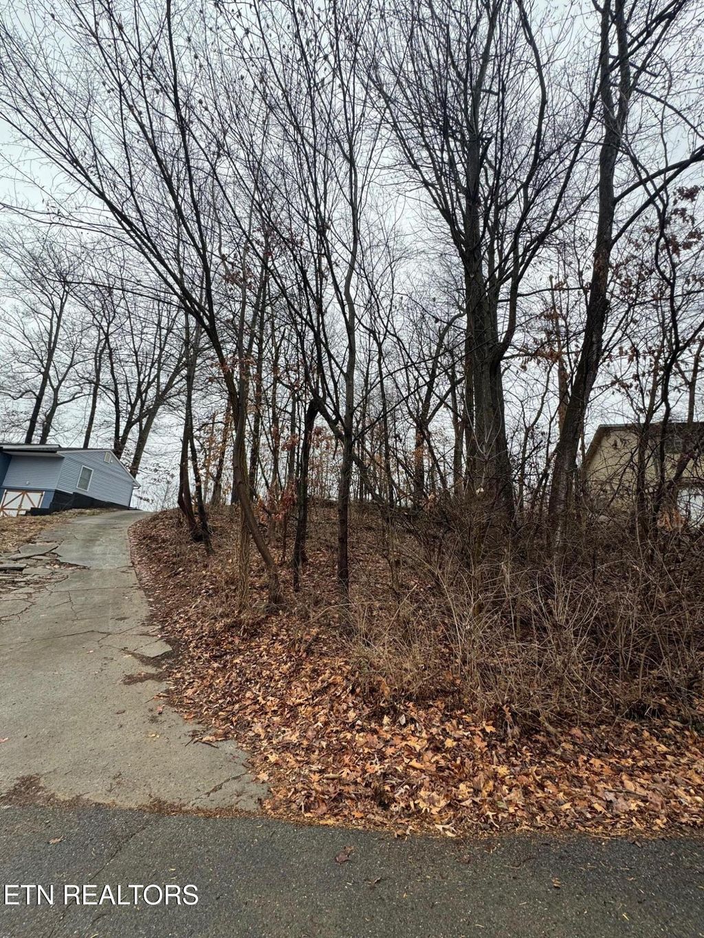 Photo of 2339 Adams Ave, Knoxville, TN 37917 (MLS # 1328617)