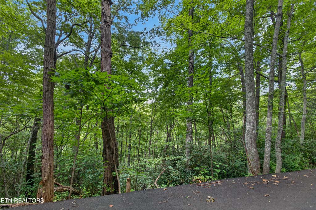 Photo of Ownby Circle, Gatlinburg, TN 37738 (MLS # 1351169)