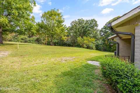 Tiny photo for 700 Mars Hill Rd, Knoxville, TN 37923 (MLS # 1323826)