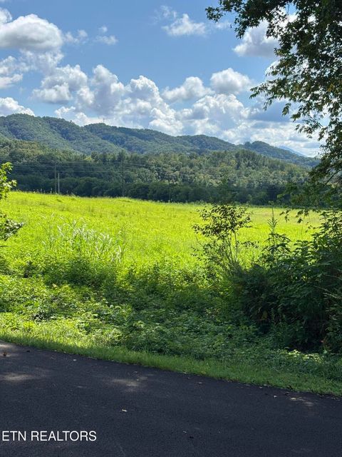 Photo of Canupp Drive, Sevierville, TN 37876 (MLS # 1331842)