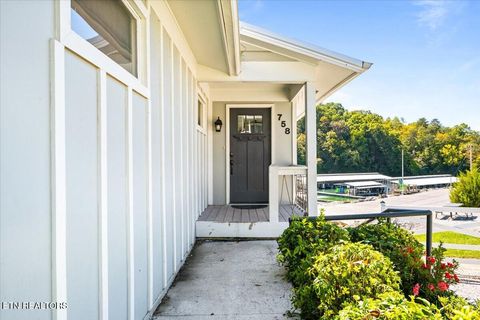 Tiny photo for 758 Indian River Boat Dock Rd, Jacksboro, TN 37757 (MLS # 1340124)