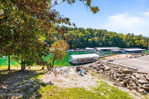 Tiny photo for 758 Indian River Boat Dock Rd, Jacksboro, TN 37757 (MLS # 1340124)