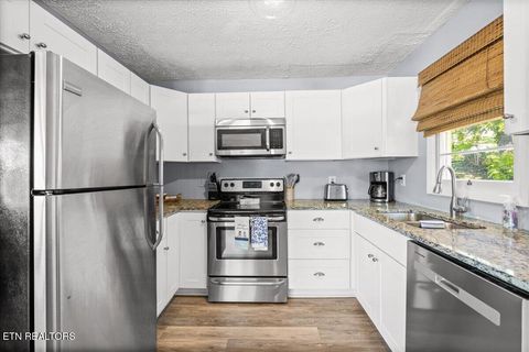 Tiny photo for 758 Indian River Boat Dock Rd, Jacksboro, TN 37757 (MLS # 1340124)