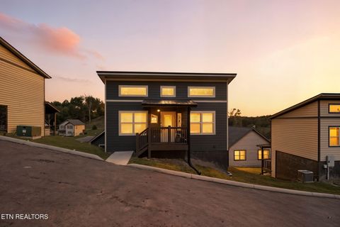 1654 Veterans Blvd Sevierville TN 37862