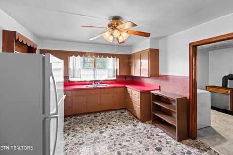 Tiny photo for 3003 Jane Street St, White Pine, TN 37890 (MLS # 1336370)