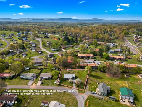 Tiny photo for 3003 Jane Street St, White Pine, TN 37890 (MLS # 1336370)