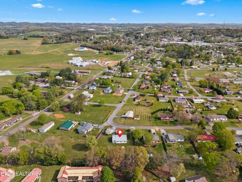 Tiny photo for 3003 Jane Street St, White Pine, TN 37890 (MLS # 1336370)