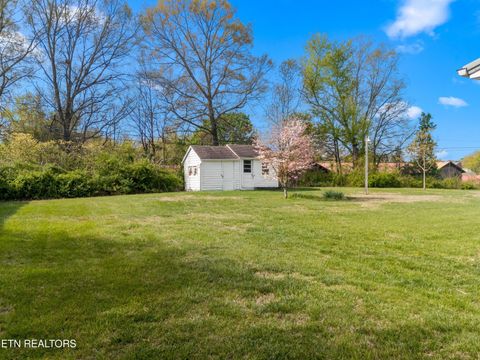 Tiny photo for 3003 Jane Street St, White Pine, TN 37890 (MLS # 1336370)