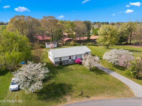 Tiny photo for 3003 Jane Street St, White Pine, TN 37890 (MLS # 1336370)