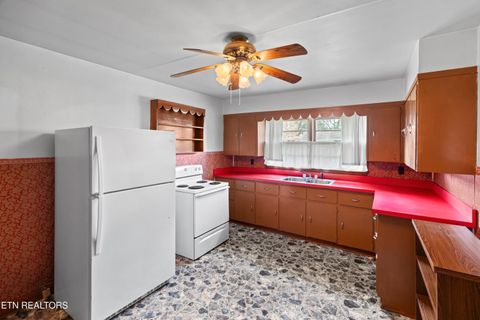 Tiny photo for 3003 Jane Street St, White Pine, TN 37890 (MLS # 1336370)