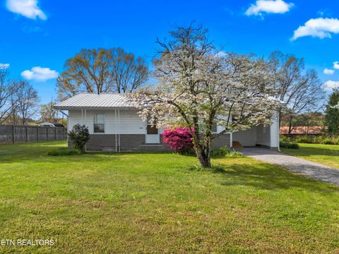 Tiny photo for 3003 Jane Street St, White Pine, TN 37890 (MLS # 1336370)