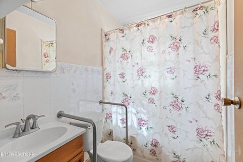 Tiny photo for 3003 Jane Street St, White Pine, TN 37890 (MLS # 1336370)