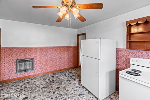 Tiny photo for 3003 Jane Street St, White Pine, TN 37890 (MLS # 1336370)