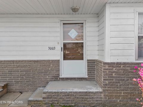 Tiny photo for 3003 Jane Street St, White Pine, TN 37890 (MLS # 1336370)