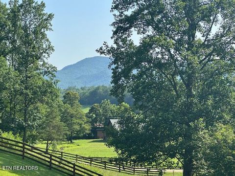 Tiny photo for 584 Bethel Church Rd, Townsend, TN 37882 (MLS # 1331370)