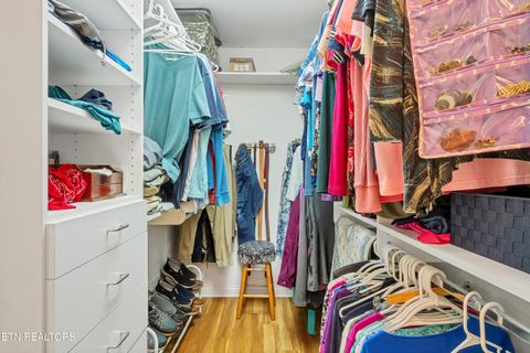 Tiny photo for 584 Bethel Church Rd, Townsend, TN 37882 (MLS # 1331370)