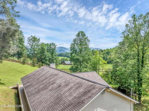 Tiny photo for 584 Bethel Church Rd, Townsend, TN 37882 (MLS # 1331370)