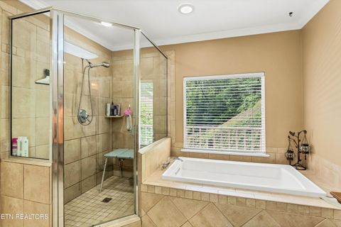 Tiny photo for 584 Bethel Church Rd, Townsend, TN 37882 (MLS # 1331370)