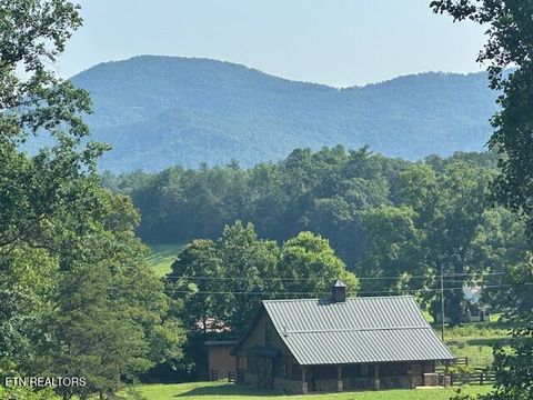 Tiny photo for 584 Bethel Church Rd, Townsend, TN 37882 (MLS # 1331370)