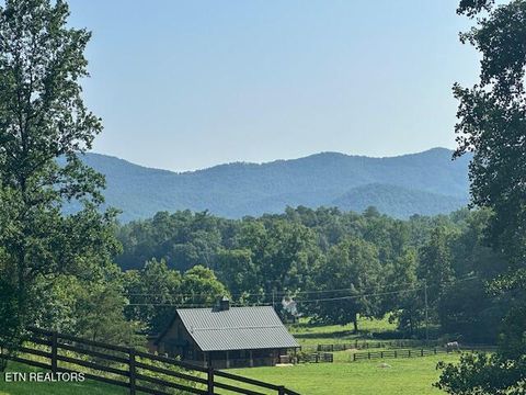 Tiny photo for 584 Bethel Church Rd, Townsend, TN 37882 (MLS # 1331370)