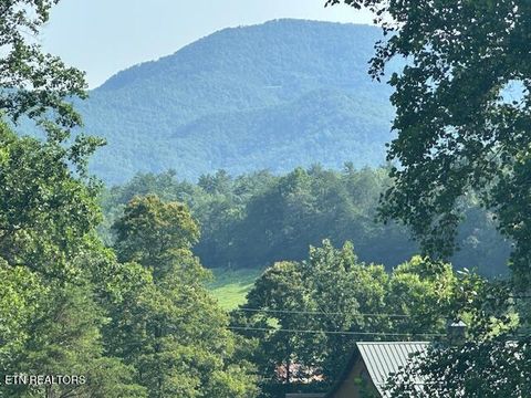 Tiny photo for 584 Bethel Church Rd, Townsend, TN 37882 (MLS # 1331370)