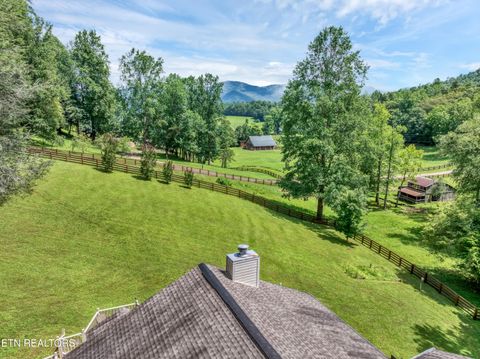 Tiny photo for 584 Bethel Church Rd, Townsend, TN 37882 (MLS # 1331370)