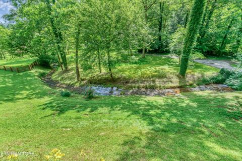 Tiny photo for 584 Bethel Church Rd, Townsend, TN 37882 (MLS # 1331370)